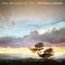 Within A Dream (180g)