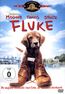 Fluke