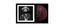 Live From The Royal Albert Hall (Limited Edition) (Maroon Smoke Colored Vinyl)