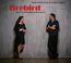 Firebird: Piano Meets World Percussion