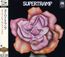 Supertramp (SHM-CD)(Reissue)
