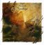 Fireships