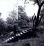 Timber Timbre (New Version)
