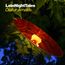 Late Night Tales (180g) (Limited Edition)
