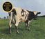 Atom Heart Mother (Remastered)