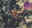 Obscured By Clouds (Remastered)