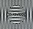 Transverse (LP + CD)