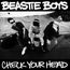 Check Your Head (180g)