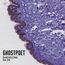 Shedding Skin (Purple Vinyl) (Reissue 2021)