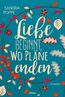 Poppe, S: Liebe beginnt, wo Pläne enden