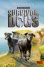 Hunter, E: Survivor Dogs Dunkle Spuren. Ein namenl. Verräter