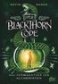 Sands, K: Blackthorn-Code - Vermächtnis des Alchemisten