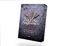 Falling Shadows: Spicy Reverse Harem Dark Romantasy