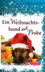 Schier, P: Weihnachtshund auf Probe