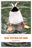 Fürk-Hochradl, D: Toter im Inn