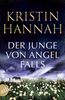 Der Junge von Angel Falls