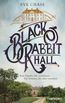 Black Rabbit Hall - Eine Familie. Ein Geheimnis. Ein Sommer, der alles verändert.