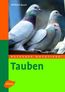 Tauben