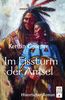 Groeper, K: Im Eissturm der Amsel
